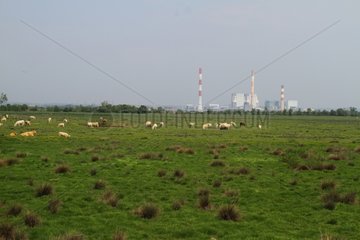 Power plant EDF Lavau-sur-Loire France