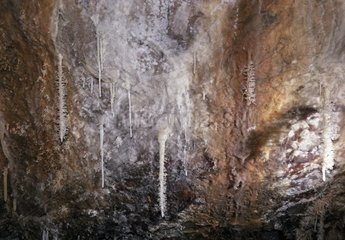 Aragonites growing on stalactites and oxidized wall Hérault
