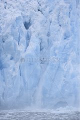 Melting glaciers Kenai Fjords NP Alaska