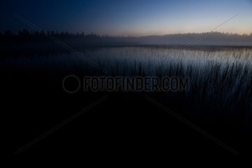 Landscape of northern Finland at dusk