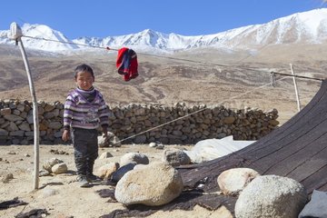 Boy in an encampment  Surroundings of Korzok  Leh  Ladakh  Himalayas  India