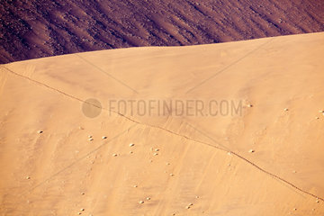 Sand Dune - Namib Desert Namibia