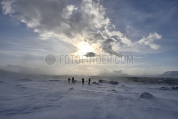 Explorers in the blizzard - Agardbukta Spitzberg