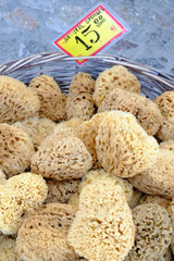 Sponges (Porifera) for sale in a basket  origin  Aegean Sea  Cyclades  Greece.