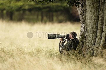 Photographe animalier à l'affût en forêt France
