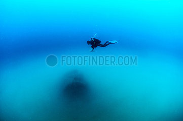 Diver biologist performing scientific monitoring of an Artificial reef off Valras  Gulf of Lion  Mediterranean  France