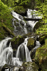 Waterfalls of Rummel  the river Savoureuse down the Ballon d Alsace  Ballon dAlsace  Territoire de Belfort (90)  France