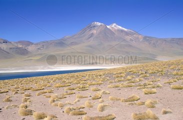 San Pedro de Atacama  Laguna Miscanti