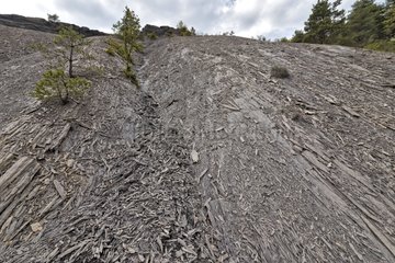 Erosion in limestone marl - Geological Reserve France