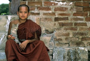 Kitten sitting on a young monk Burma
