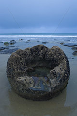 Moeraki boulders  blocks of limestone formed in the ocean 60 million years ago  Otago  SOuth Island  New Zealand