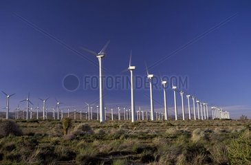 Field of wind mills towards Lancaster in California