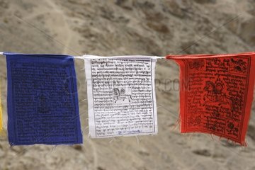 Flaggen bei Gebeten über Leh Ladakh India