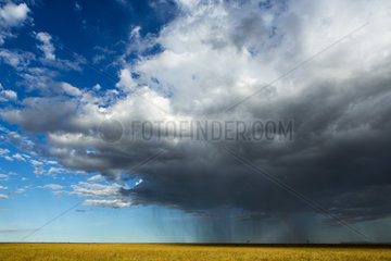 Clouds and storm in dry season - Masai Mara Kenya
