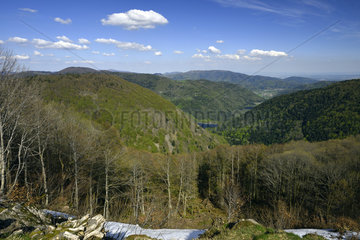 Summit  view of the Doller valley  the lakes of Alfeld and Sewen  the Rossberg massif  the Alsace plain  snow in the glacial cirque at the beginning of may  Ballon d Alsace  Territoire de Belfort (90)  France