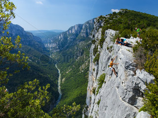 Climbing  Gorges du Verdon Natural Park  Alpes Haute Provence  France  Europe