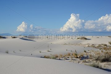 Gypsum desert - White Sands NP New Mexico USA