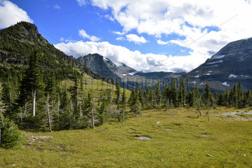 Landscape in Glacier National Park  Montana  USA