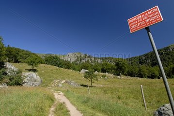 Natural Reserve Frankenthal-Missheimle Vosges France