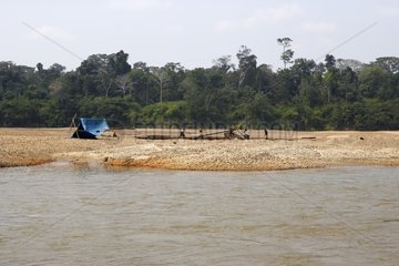 Researchers gold on the Tambopata river Peru
