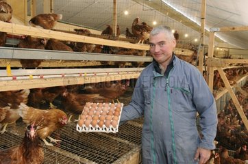Eric Walger erntet die Eier im Hühnerhaus