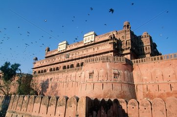 envolé d'oiseaux devant le palais du Maharadja de Bikaner