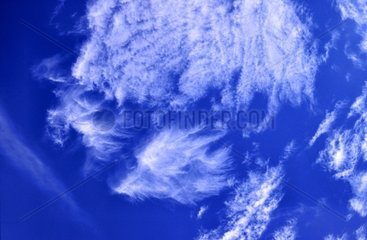 Cirrus -Altitude -Wolken Uncinus