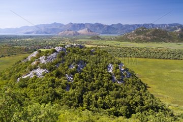 Hill and wetlands in the NP of Skadar lake in Montenegro