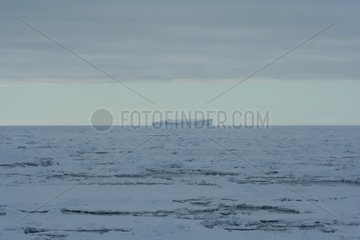 Iceberg and ice Adelie Antarctica