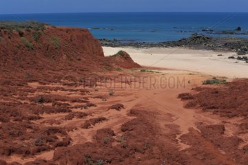 Erosion of a laterite coast Australia
