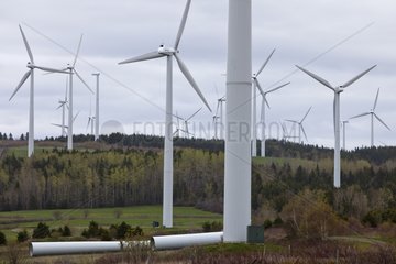Winds in the Gaspe Peninsula Quebec Canada