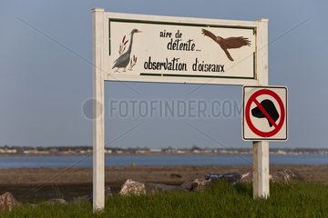 Site Coastal Birding Quebec Canada