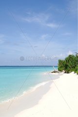 Beach of the island Manafaru in the archipelago of Maldives