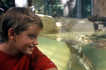 Kind vor einem Aquarium von Caymans Frankreich