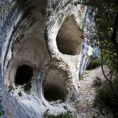 Cavities excavated by erosion in the limestone Vaucluse