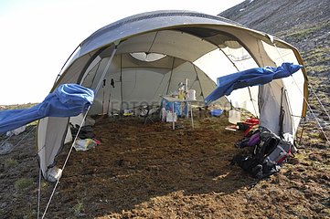 Surgical tent to anesthetize and operate auks - Greenland