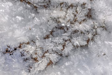 Ice sheet near a mountain stream   Queyras   Hautes-Alpes   France