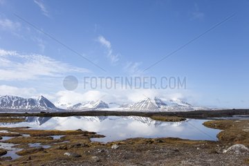 Landscape polar tundra - Spitsbergen Svalbard King Bay