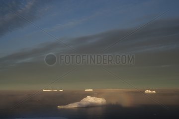 Icebergs and fog Terre Adélie Antarctic