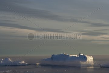 Icebergs in the fog Terre Adélie Antarctic