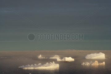 Icebergs in the fog Terre Adélie Antarctic