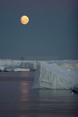 Moonrise on the icebergs Terre Adélie Antarctic