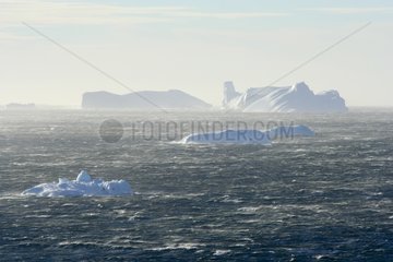 Icebergs in the storm Adélie Land Antarctica