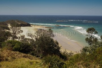 Sandy beach - Stradbroke Island Queensland Australia