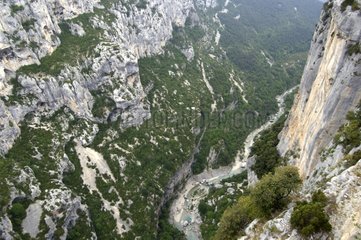 Verdon Gorge cliff in spring France