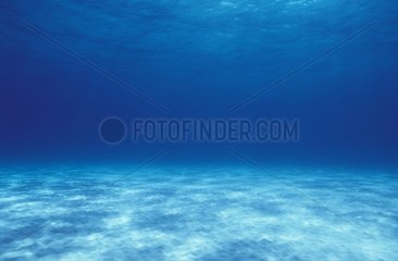 Shallow sandy bottom and clear blue tropical water - Bahamas