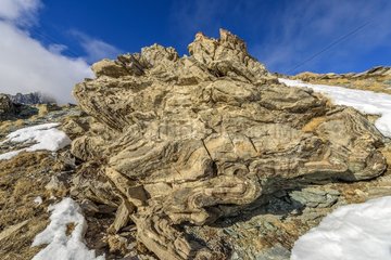 Folds in Dolostone  Sector Col de Peas  Queyras  Alpes  France