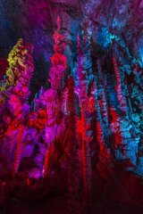 Cave of the Aven Armand - Hures la parade - Lozère - France