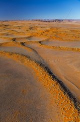 Namib-Naukluft National Park  Namibia  Africa