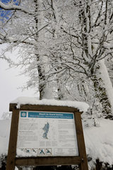 Natural Reserve of the Grand Ventron in winter - Vosges France